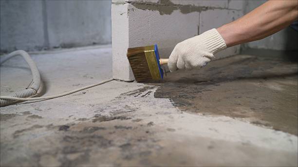 SJ Waterproofing Pros Waterproofing coverage map for Mosherville, MI and surrounding area